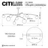 Люстра на штанге Citilux Fisher CL218193 фото 10