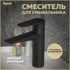 Смеситель для раковины Teymi Kati T10219 черный матовый
