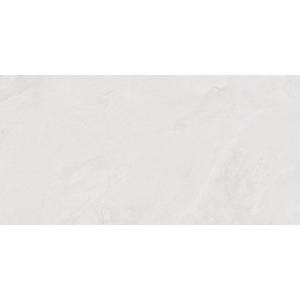 Керамогранит Laparet Porter LP6012G0171R Silver Pro Светло-Серый Матовый R10 Str 59.5x119.1