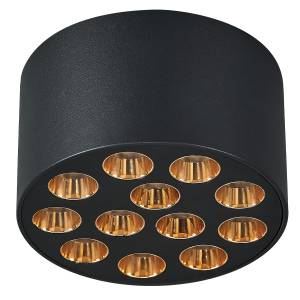 Потолочный светодиодный светильник Lightstar Guarda 080942