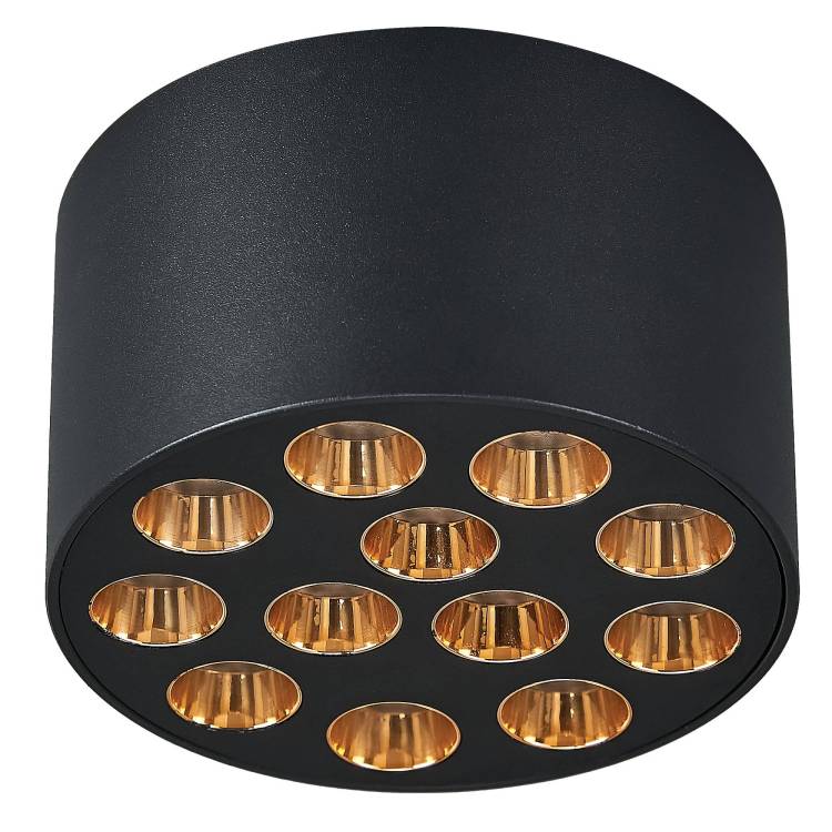 Потолочный светодиодный светильник Lightstar Guarda 080942