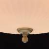 Подвесной светильник MW-Light Афродита 317010504 фото 9