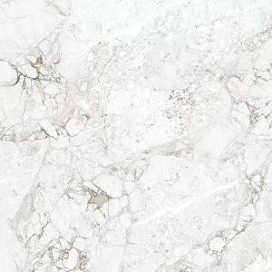 Керамогранит Absolut Gres Rossalia Natural AB1208G Gloss 600x600