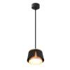 Светильник подвесной Arte Lamp Amaks A8028SP-1BK
