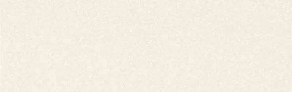 Керамогранит Kerlite Black&White Snow 300x100