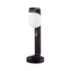 Ландшафтный светильник Odeon Light Exclusive Luma 5434/1F