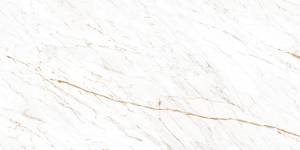 Керамогранит Ocean ceramic Nero White 60x120