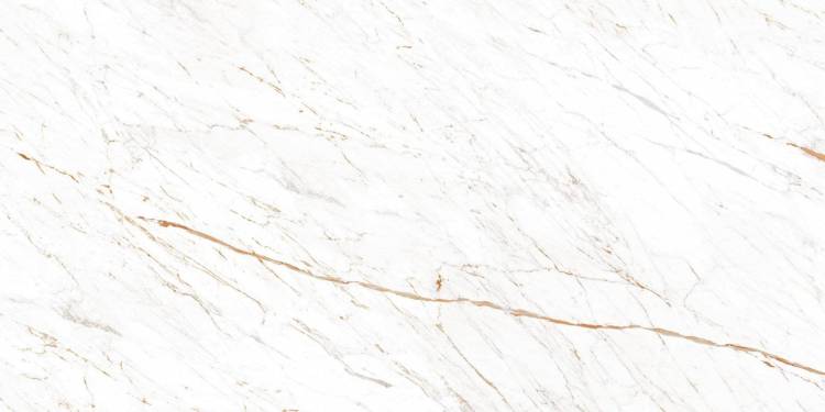 Керамогранит Ocean ceramic Nero White 60x120