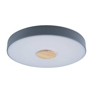 Потолочный светодиодный светильник Loft IT Axel 10003/24 grey