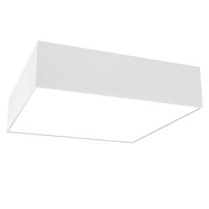 Потолочный светильник Technical Zon C067CL-L27W4K