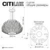 Подвесная люстра Citilux Deltoro CL327160 фото 18
