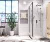 Душевой уголок Wasserkraft Berkel 48P17 100x80 см фото 2