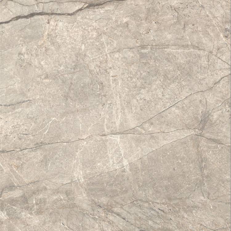 Керамогранит Caesar Anima Futura AIAH Amazing Silver Liscio Matt 120x120