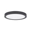 Потолочный светильник Loft IT Extraslim 10227/24 Black фото 2