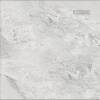 Керамогранит Absolut Gres Phantom Bianco AB 1119G gloss 600x600 фото 6