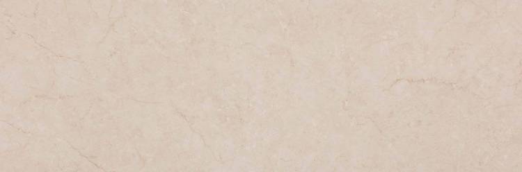 Керамическая плитка Ecoceramic Shamana 90x30