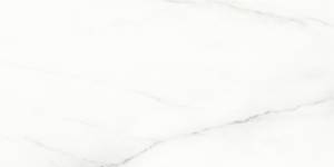 Керамогранит Laparet Voyage Blanco SG50002320R белый матовый 59.5х119.1 Керамогранит Laparet Voyage Blanco SG50002320R белый матовый 59.5х119.1