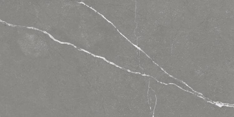 Керамогранит Stiles Ceramic Vitay Grey M 60x120