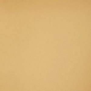 Керамогранит Грани Таганая Профи GT065M RAL1001 Песочный матовый 60x60