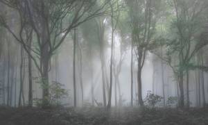 Фреска La Stanza Alba 800170 бриз лайт (размер на заказ)