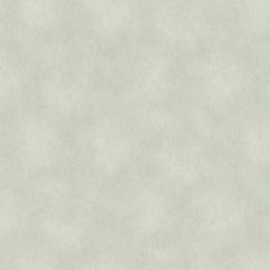 Обои виниловые Rasch Raymond 957358