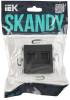 Розетка компьютерная RJ45 2-местная IEK Skandy SK-K20-1-K53 графит фото 2