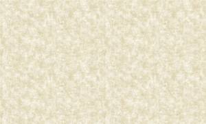 Обои бумажные Bruno Zoff Gold 60125-2