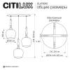 Подвесной светильник Citilux Nort CL475012 фото 10