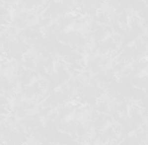 Обои Victoria Stenova Akira 585971