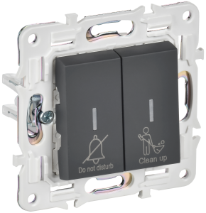 Выключатель 2-клавишный IEK Skandy SK-V20-2-10-K53 графит