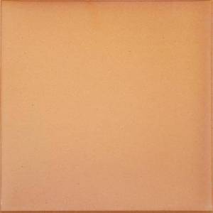 Клинкерная плитка Canada Gres Natura 016 Terra R11 24.4x24.4x14