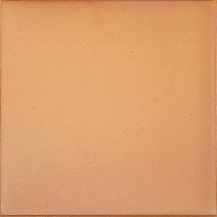 Клинкерная плитка Canada Gres Natura 016 Terra R11 24.4x24.4x14