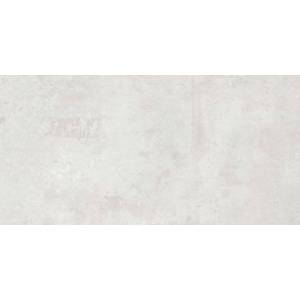 Керамогранит Ceracasa Titan Silver 49.1x98.2