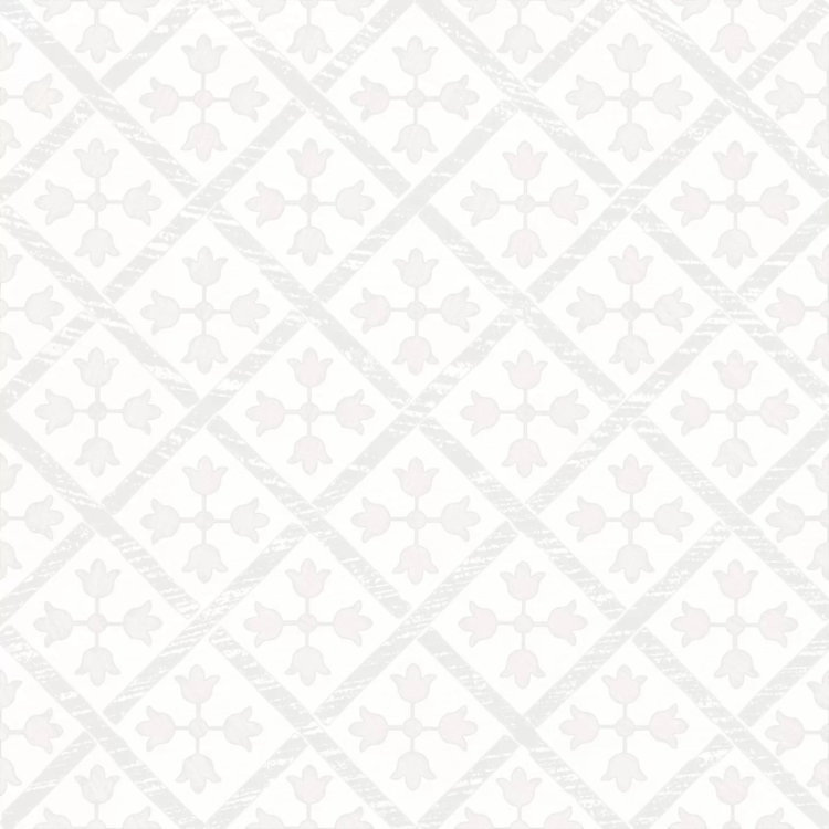 Керамогранит Monopole Guadalupe White 18.7x18.7