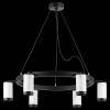 Подвесная люстра Lightstar Rullo LR01636637 фото 3