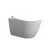 Подвесной унитаз Damixa Scandinavian Pure DX36C1701SC без ободка с сиденьем микролифт