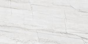 Керамогранит Ariana Nobile PF60006900 MONTBLANC LUX 60x120
