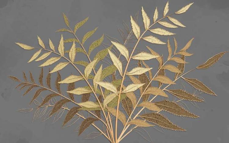 3D Фотообои Artegrafico «Золотые ветви» SG-005 канвас