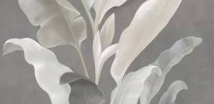 Керамогранит Lasselsberger Ceramics Янссон 7360-0018 3 серый 30х60