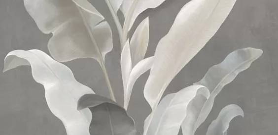 Керамогранит Lasselsberger Ceramics Янссон 7360-0018 3 серый 30х60