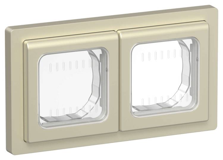 Рамка 2-постовая IEK Flite FI-M20-32-55-K37 шампань