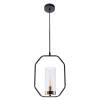 Подвесной светильник Arte Lamp Celaeno A7004SP-1BK