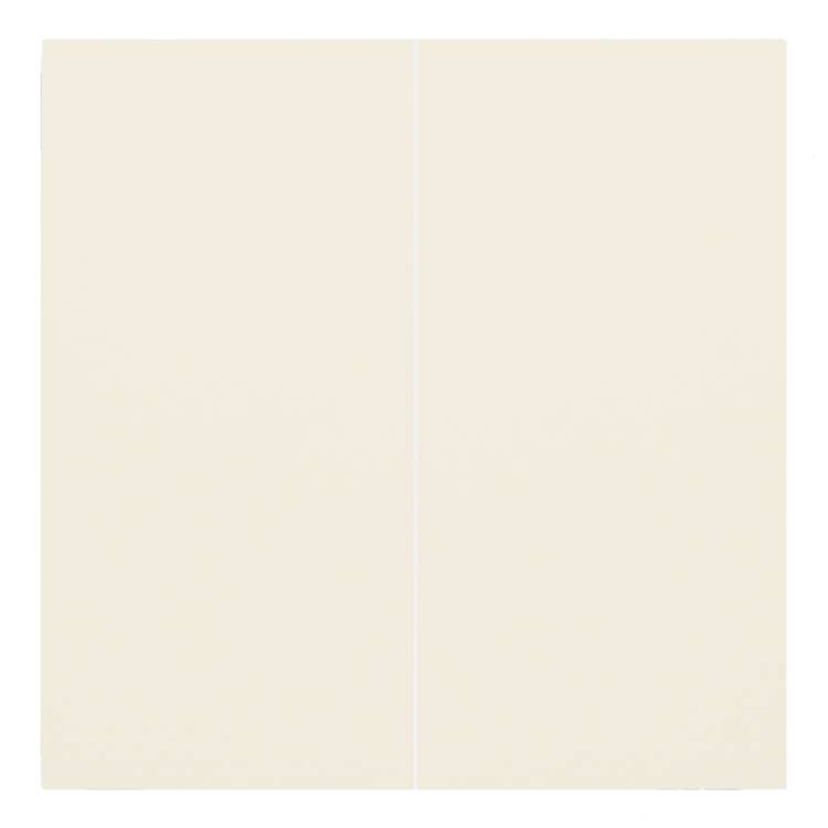 Клавиши двухклавишного выключателя Rikett 35611 MC кремовый сатин