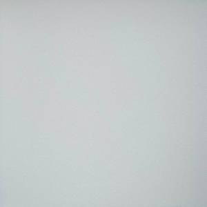 Керамогранит Грани Таганая Профи GT009A Светло-серый антискользящий 60x60