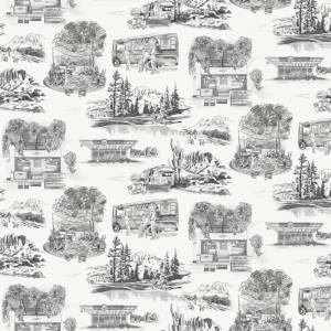 Обои York Collections Toiles Resource Library RT7861