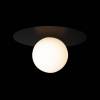Потолочный светильник Loft IT Ufo 10120/250C Black фото 2
