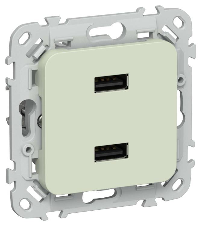 Розетка USB type A+A IEK Flite FI-U21-D31-K92 панг