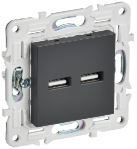 Розетка USB type A+A IEK Skandy SK-U21-D31-K48 титан