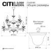Подвесная люстра Citilux Kaptor CL423193 фото 13