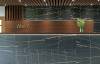 Ступень Kerranova Marble Trend K-1004/MR/st01 Nero Dorato 30x120x10 фото 15